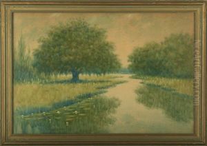 Oak And Cypress Trees Along The Louisiana Bayou
