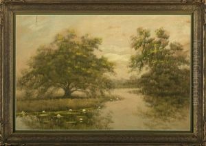 Water Lilies And Trees Along The Louisiana Bayou by Alexander John Drysdale