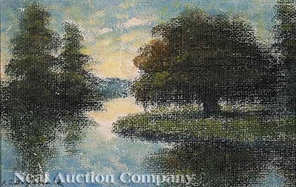 Late Afternoon In A Louisiana Marsh - view 1