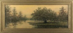 Cypress Trees And Majestic Live Oak On The Louisiana Bayou
