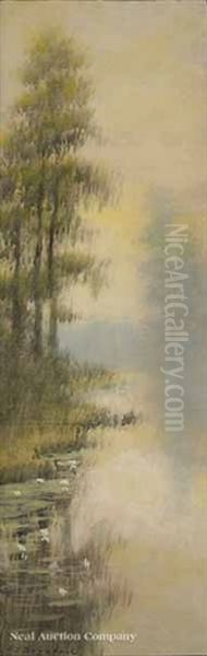 Cypress Tree In The Louisiana Bayou - view 1