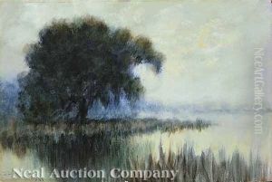 Springtime In The Bayou