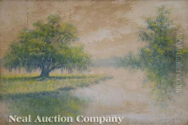 Louisianna Bayou - view 1