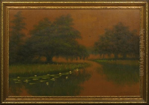 Tangerine Sunset On The Louisiana Bayou - view 1