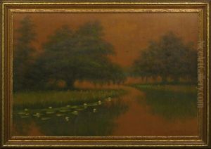 Tangerine Sunset On The Louisiana Bayou by Alexander John Drysdale