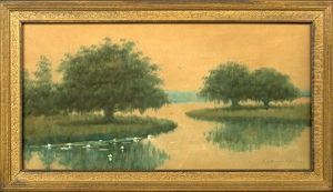 Louisiana Bayou With Oak Trees And Water Lilies