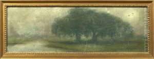 Gray Morning On The Louisiana Bayou by Alexander John Drysdale