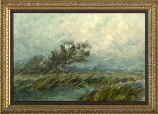 Wind Storm On The Bayou - view 1