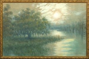 Moonlight Over The Louisiana Bayou
