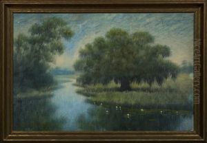 Live Oak And Lily Blossoms On The Louisiana Bayou