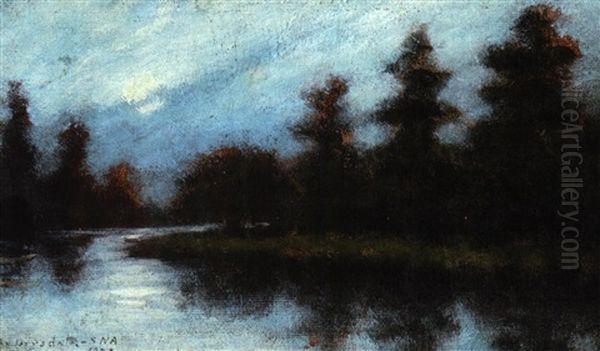 Louisiana Bayou At Night - view 1