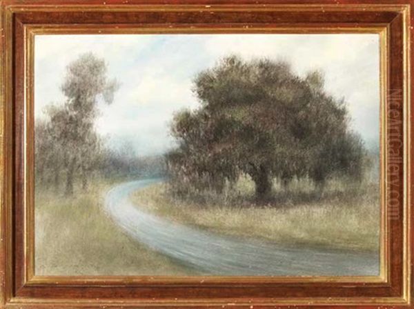 Louisiana Country Road - view 1