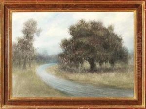 Louisiana Country Road by Alexander John Drysdale