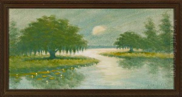 Moonlight On Bayou - view 1