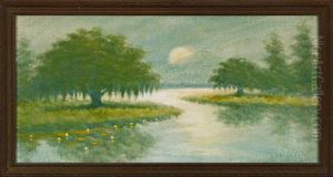 Moonlight On Bayou
