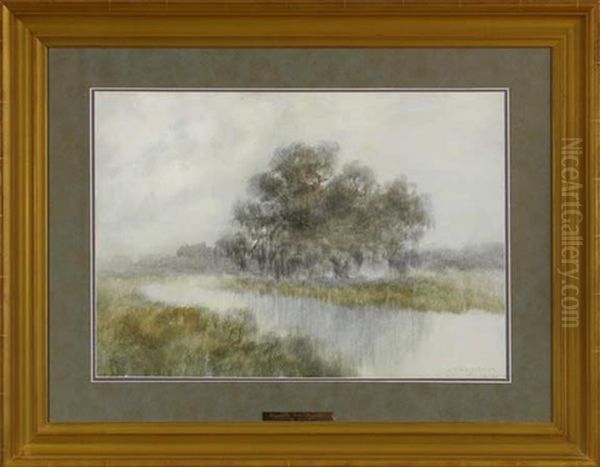 Louisiana Live Oak On The Bayou - view 1