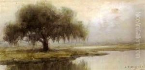 Lousiana Bayou by Alexander John Drysdale