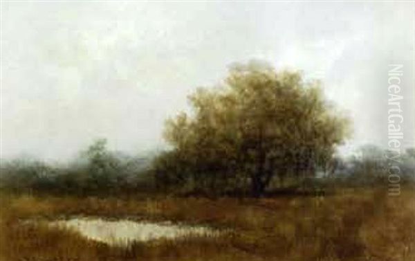 The Little Pond - view 1