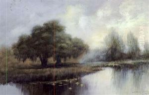 Louisiane Bayou Country