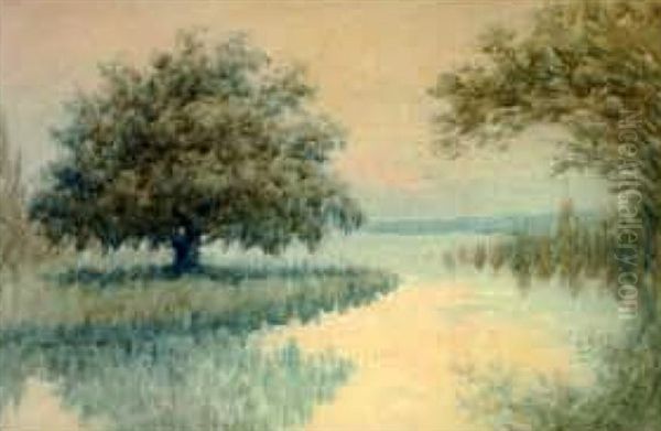 Louisiana Bayou Scene With Live Oak And Cypress Trees - view 1