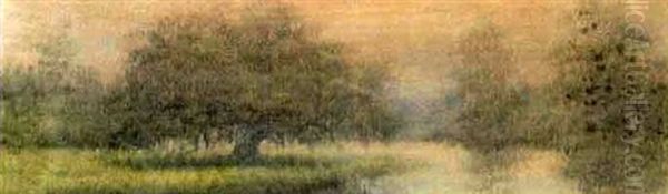 Lousiana Bayou - view 1