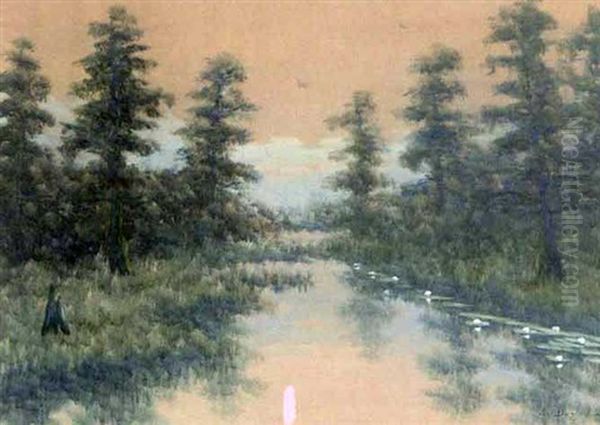 Lousiana Bayou - view 1
