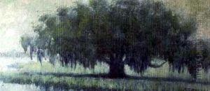Louisiana Live Oak by Alexander John Drysdale