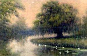 Louisiana Bayou Scene With Flowers