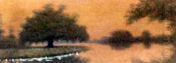 Sunset On The Louisiana Bayou - view 1