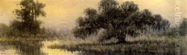 Louisiana Swamp - view 1