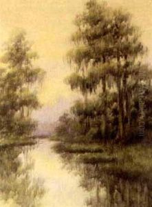 Live Oaks Along The Bayou