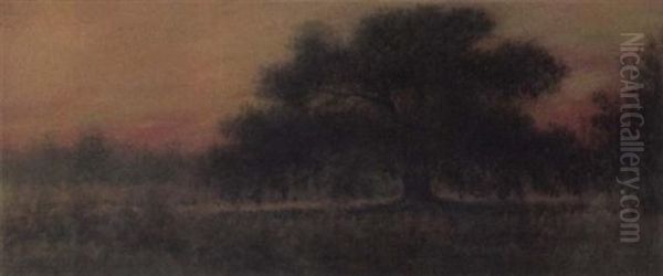 Louisiana Bayou At Dawn - view 1