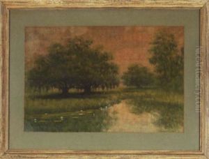 Bayou Landscape With Grove Of Oaks And Cypress by Alexander John Drysdale