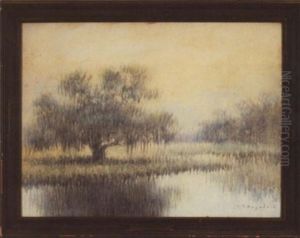 Bayou Landscape With Oak