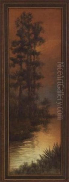 Louisiana Cypress And Swamp - view 1