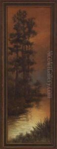 Louisiana Cypress And Swamp by Alexander John Drysdale