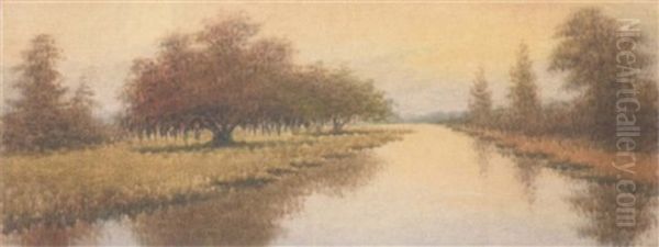Louisiana Bayou In Autumn Colors - view 1