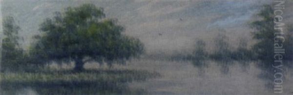 Classic Bayou Landscape - view 1