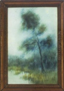 Cypress In The Bayou by Alexander John Drysdale