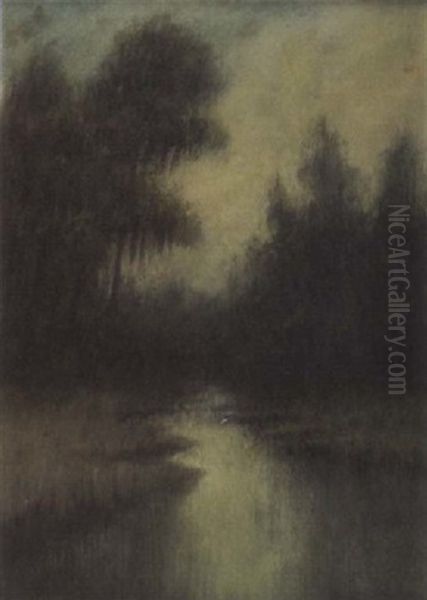 Cypress Trees Along The Bayou - view 1