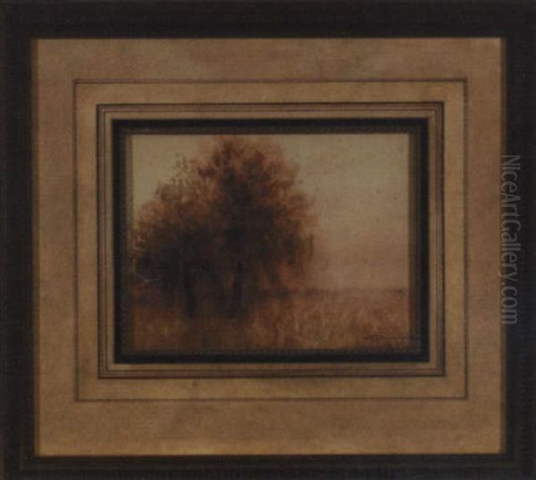 Grove Of Trees Against A Flowering Field - view 1