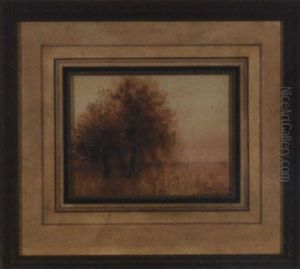 Grove Of Trees Against A Flowering Field by Alexander John Drysdale