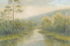 The Hills Of Columbia, Louisiana On The Ouachita River