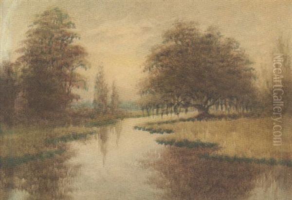 Classical Louisiana Oak Tree-bayou Landscape - view 1