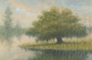 Oak Tree On Point Of Land, City Park, New Orleans by Alexander John Drysdale