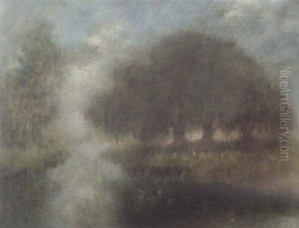 Trees In The Mist - view 1