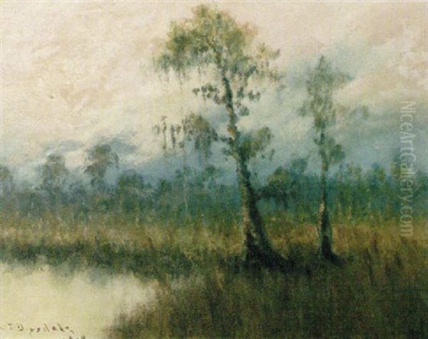 Cypress In A Swamp - view 1