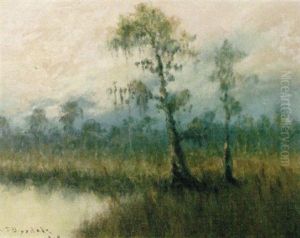 Cypress In A Swamp by Alexander John Drysdale