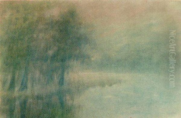 Cypress In The Mist - view 1