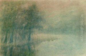 Cypress In The Mist